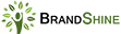 bs logo